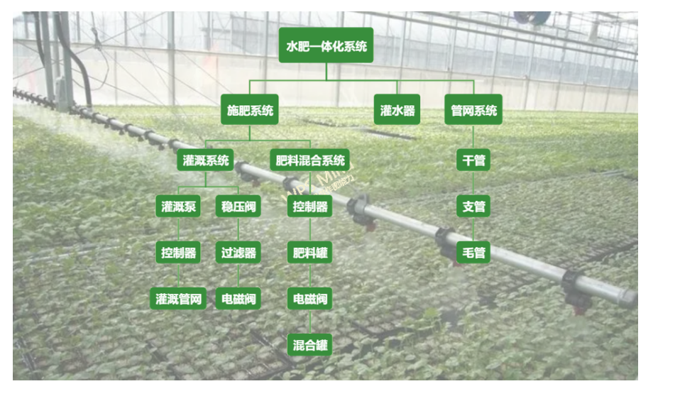 港澳宝奥苹果手机