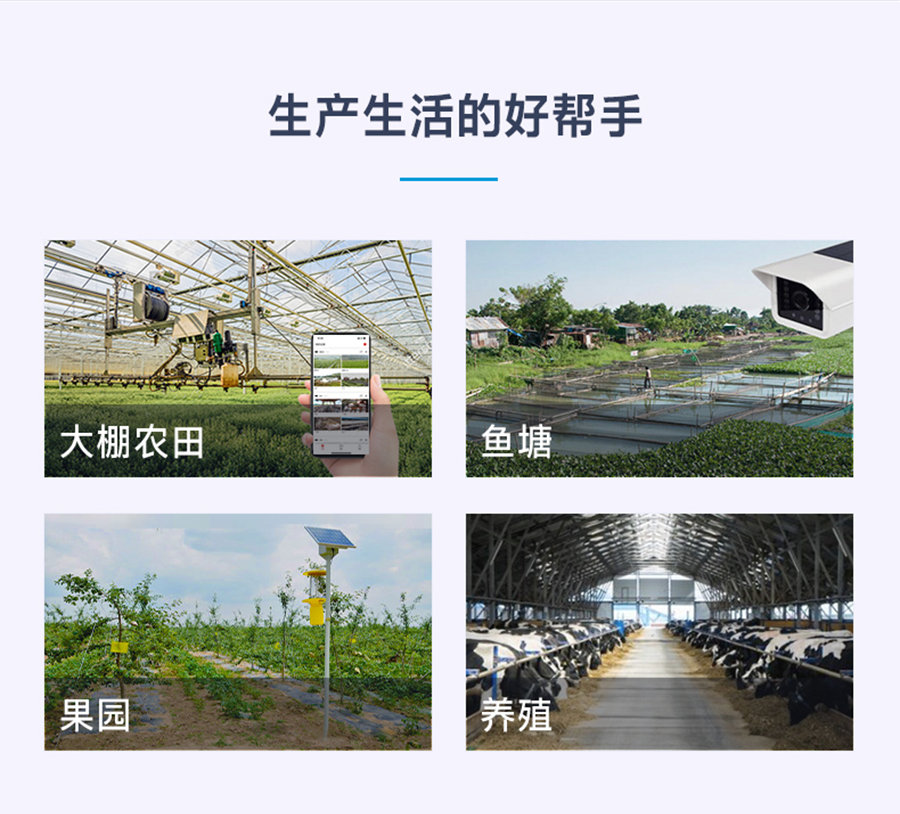 港澳宝奥苹果手机